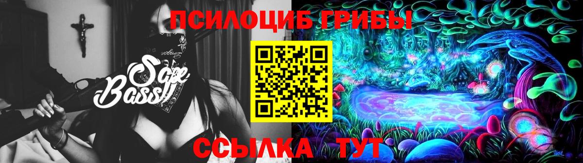 Галлюциногенные грибы Psilocybe  Вход с VPN  Ижевск  Галлюциногенные грибы Magic Shrooms 